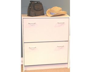 4D Concepts Double Shoe Cabinet