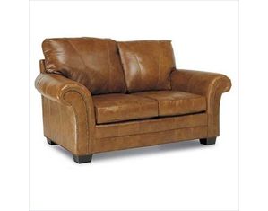 Distinction Leather Hanover Loveseat