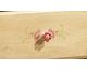 Drawer Knobs