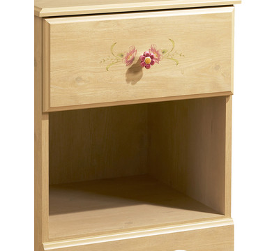 Drawer and Shelves
