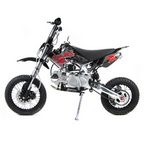 Free Shipping  Pocket Bikes