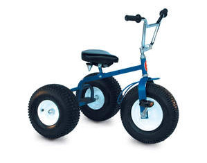 Save  on Large Trike at The Extreme Sports Superstore