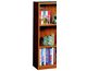 Shelf Detail