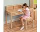 Desk Chair