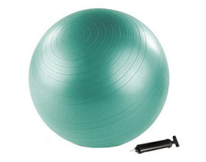 STOTT PILATES Stability Ball Plus and Core Balance DVD Gift Pack