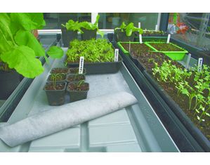 Systems Trading Corporation Irrigation Tray (Pack of Two)