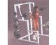 Squat
