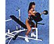 Optional Premuim Preacher Curl Attachment for FID Bench