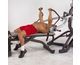 Chest Press