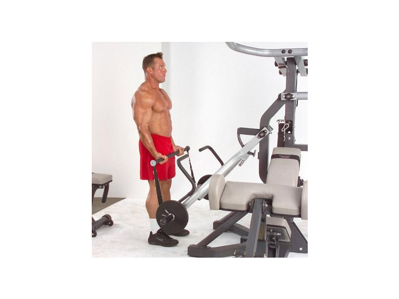 Biceps Curl - 1