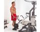Biceps Curl - 1