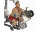 Preacher Curl