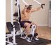 Incline Press
