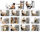 Exercise Reference Chart