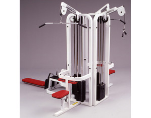 Maxicam 4 Station Jungle Gym