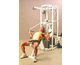 Bench Press