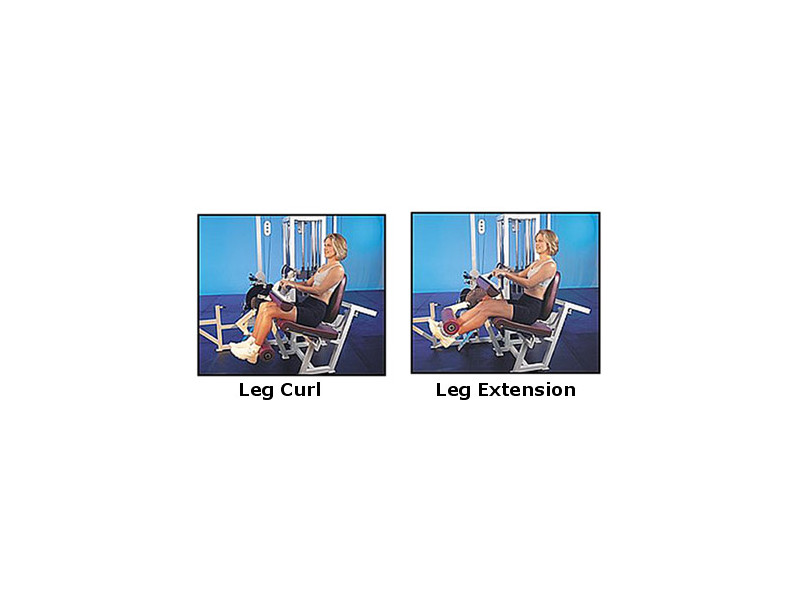 Leg Extension
