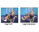 Leg Extension