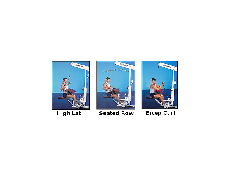 Bicep Curl