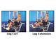Leg Extension