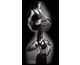 Toning Exercises