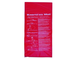 Sunny Health and Fitness Exercise Mat