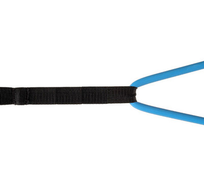 Power Systems Assist Strap