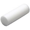 SPRI Foam Roller
