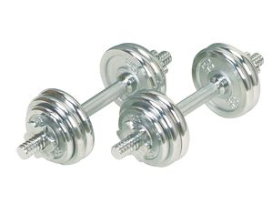Sunny Health and Fitness 33lbs Dumbbell Chrome Set