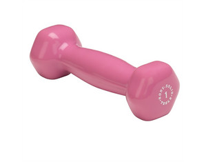 Save  on Vinyl Dumbbell - available in 1 to 15 lbs at The Weight Lifting Equipment Superstore