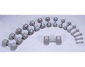 westside barbell russian twist
