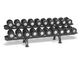 Optional 55-100 lbs Set with Rack