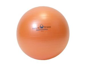EcoWise Fitness Ball