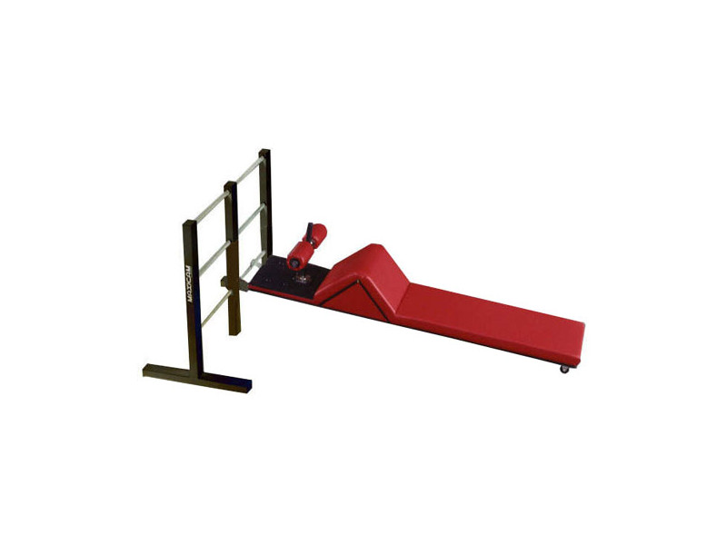 Shown With Optional Sit Up Ladder