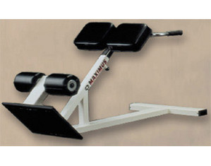 Quality Fitness by Maximus 45 Degree Hyper Extension Bench