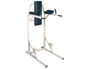 Power Systems Pro Power Vertical Knee Raise/Dip