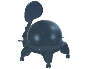 Aeromat Adjustable Fit/Ball Chair