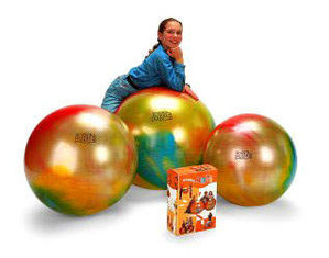 Gymnic Arte Plus Exercise Ball - Fast FREE FedEx Shipping!