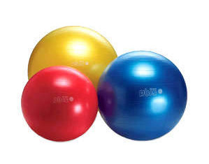 Gymnic Classic Plus Exercise Ball - Fast FREE FedEx Shipping!