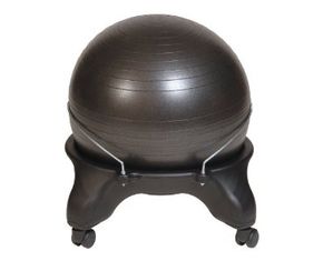 Health Mark Swiss Chair