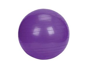 Sunny Health and Fitness Exercise Ball