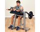 Triceps Extension