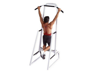 Maxicam Dip and Chin Stand - Fast FREE FedEx Shipping!