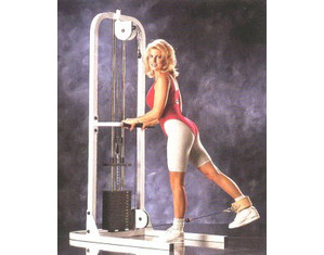 Maxicam High-Low Pulley Weight Machine - FREE Inside Delivery!