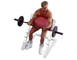Maxicam Seated Preacher Curl Bench - Fast FREE FedEx Shipping!