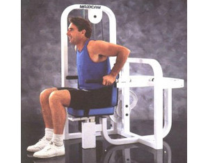 Maxicam Triceps and Dip Machine