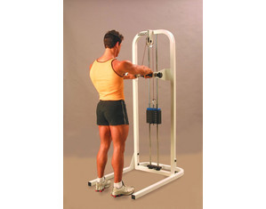Maxicam Wrist Curl/Forearm - FREE Inside Delivery!