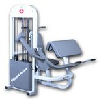 Biceps Machine  Professional Gym Equipment