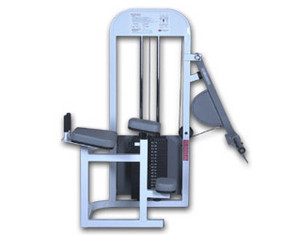 Quality Maximus Fitness MX-365 Glutes Max