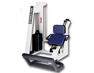 Quality Fitness by Maximus MX-509 45 Degree Donkey Calf - FREE Inside Delivery!